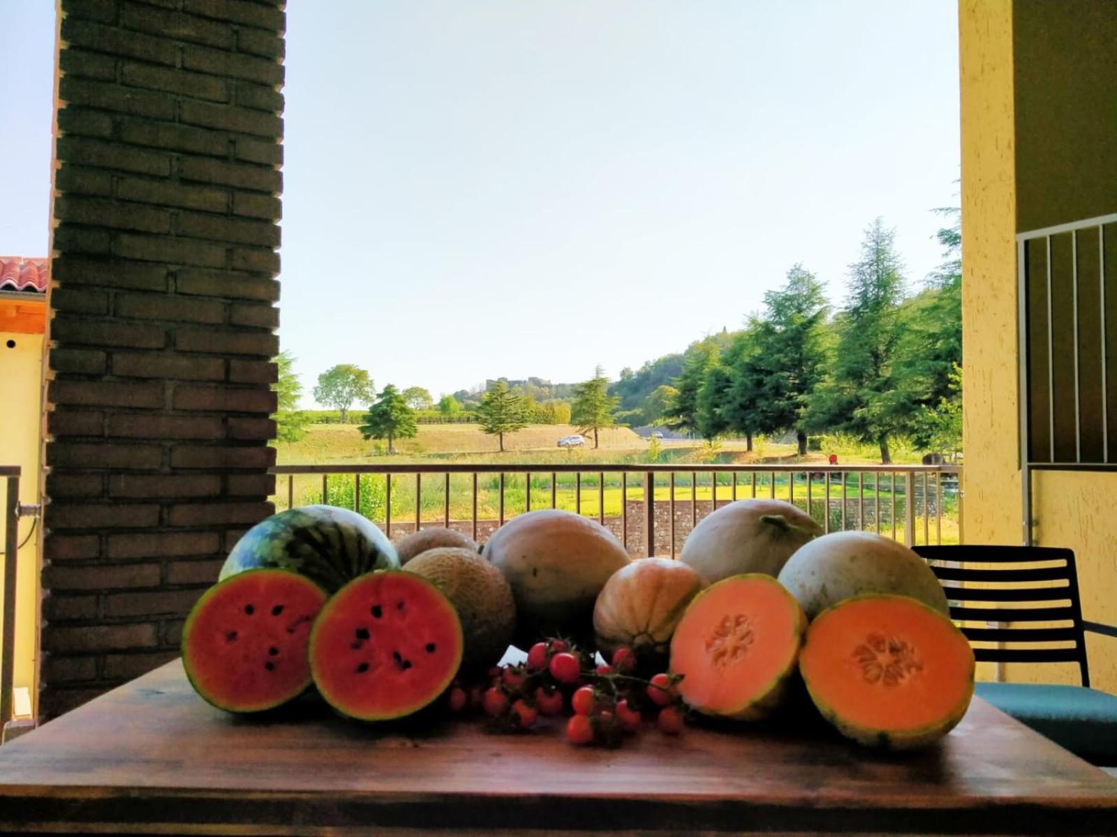 Agriturismo Al Mancino Лонато Екстериор снимка